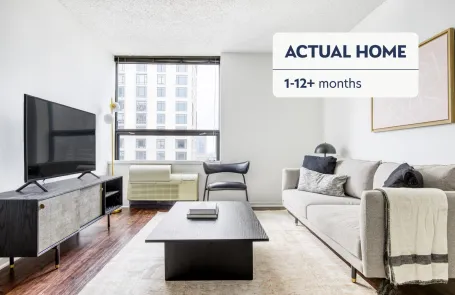 1 Bedroom Streeterville Apartment