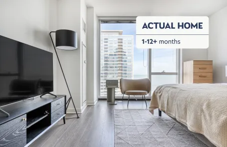 1 Bedroom Streeterville Apartment