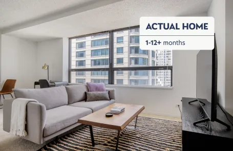1 Bedroom Streeterville Apartment