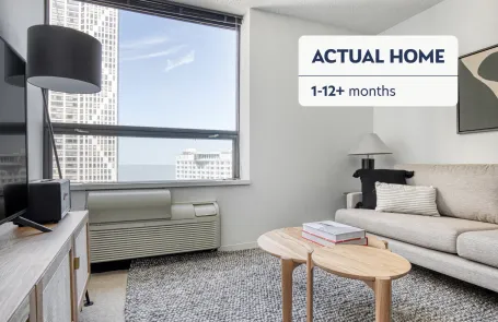 1 Bedroom Streeterville Apartment