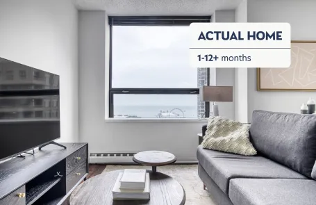 1 Bedroom Streeterville Apartment