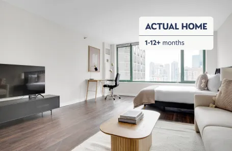 1 Bedroom Streeterville Apartment