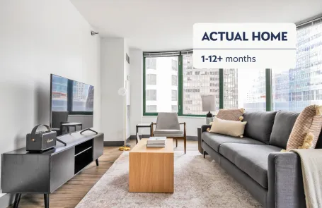 1 Bedroom Streeterville Apartment