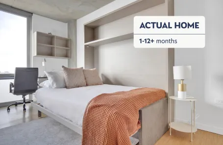 1 Bedroom Lincoln Park Apartment