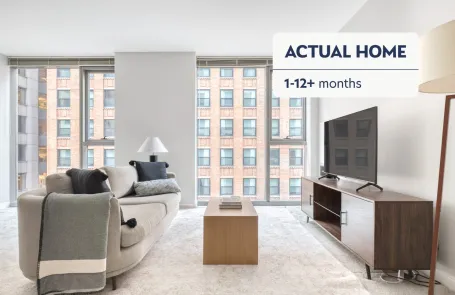 1 Bedroom Chicago Loop Apartment