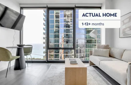 1 Bedroom South Loop Apartment