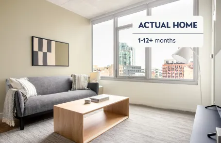 1 Bedroom West Loop Apartment