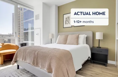1 Bedroom South Loop Apartment