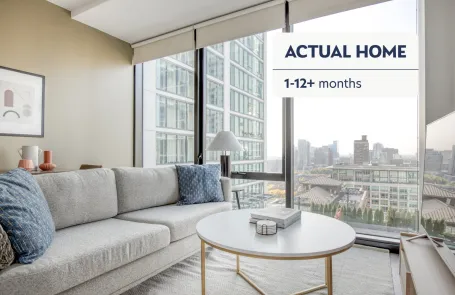 1 Bedroom South Loop Apartment