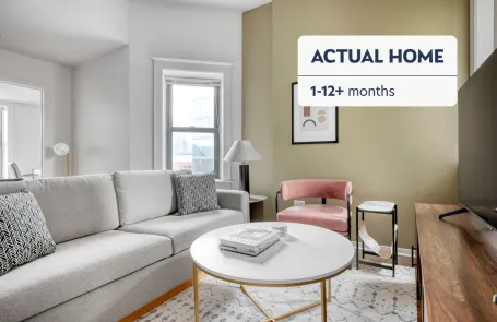 1 Bedroom South Loop Apartment