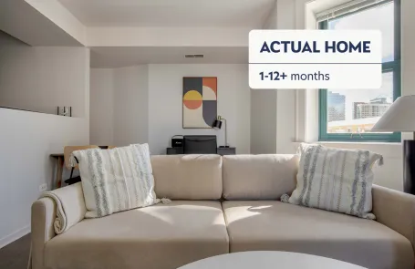 1 Bedroom South Loop Apartment