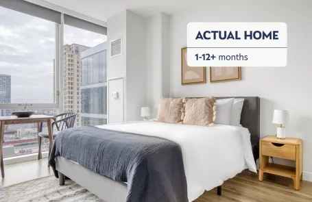 1 Bedroom South Loop Apartment