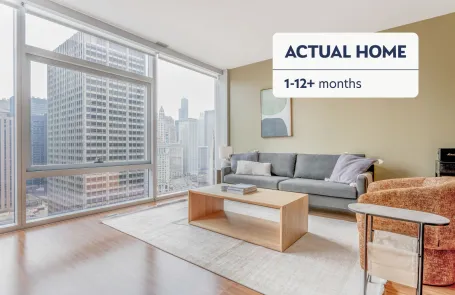 1 Bedroom Streeterville Apartment