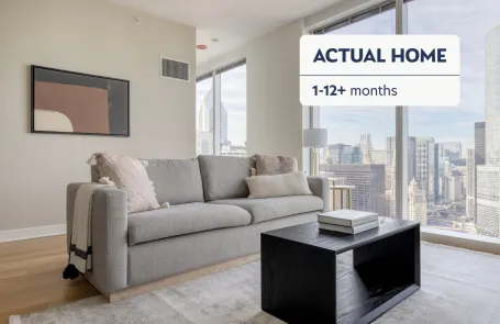 1 Bedroom Streeterville Apartment