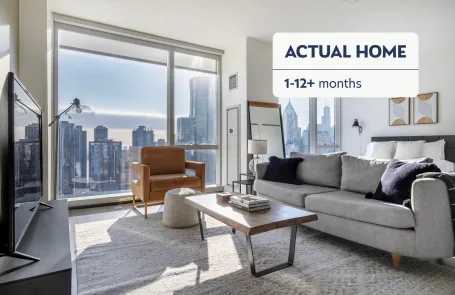 1 Bedroom Streeterville Apartment