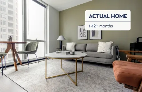 1 Bedroom Streeterville Apartment