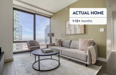 2 Bedroom South Loop Apartment