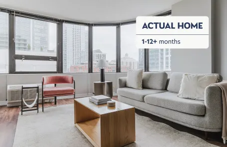1 Bedroom South Loop Apartment