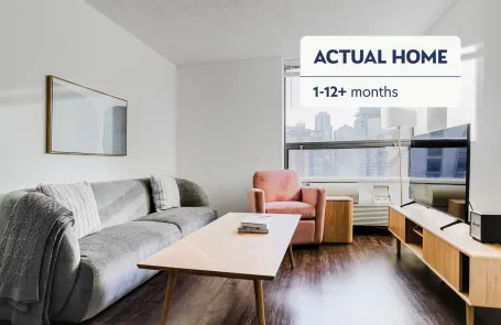 1 Bedroom Streeterville Apartment