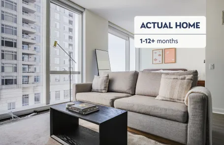 1 Bedroom Streeterville Apartment
