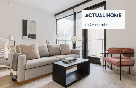 1 Bedroom Streeterville Apartment
