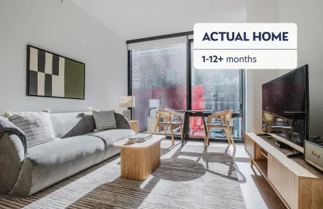 1 Bedroom Streeterville Apartment