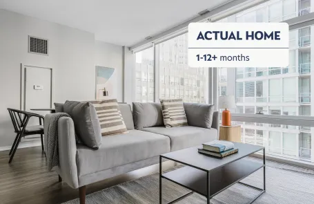 1 Bedroom Streeterville Apartment