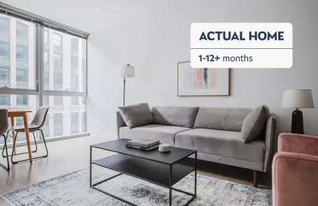 1 Bedroom Chicago Loop Apartment