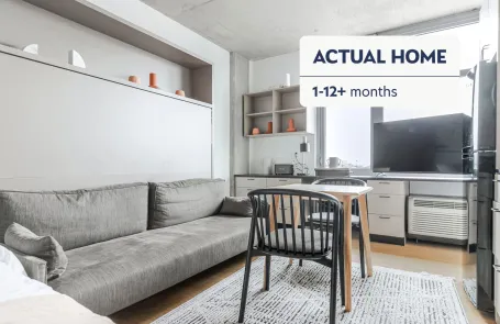 1 Bedroom Lincoln Park Apartment
