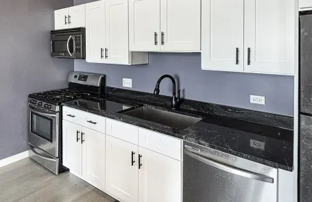 2 Bedroom South Loop Apartment