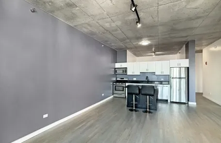 2 Bedroom South Loop Apartment
