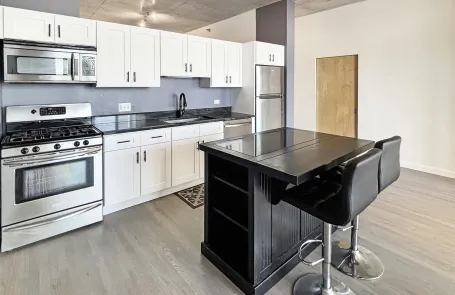 2 Bedroom South Loop Apartment