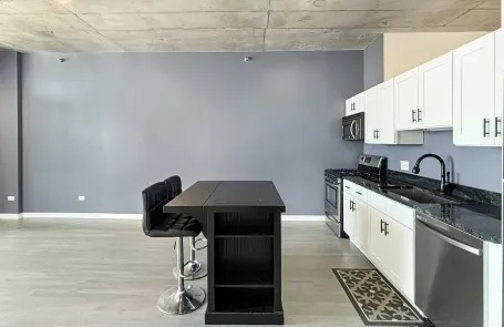 2 Bedroom South Loop Apartment