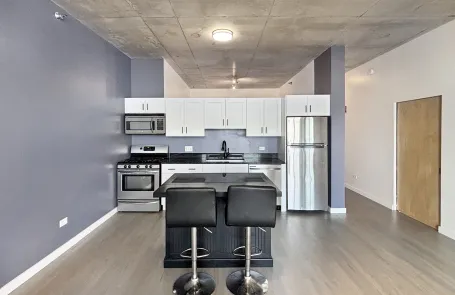 2 Bedroom South Loop Apartment