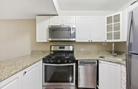 1 Bedroom Streeterville Apartment