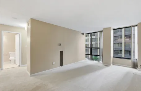 1 Bedroom Streeterville Apartment