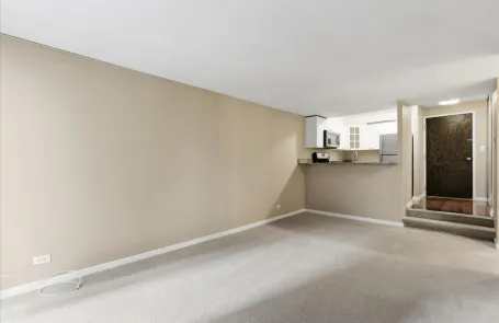 1 Bedroom Streeterville Apartment