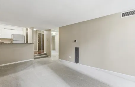 1 Bedroom Streeterville Apartment