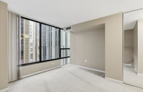 1 Bedroom Streeterville Apartment