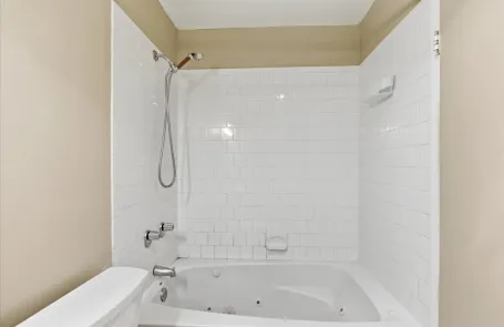 1 Bedroom Streeterville Apartment