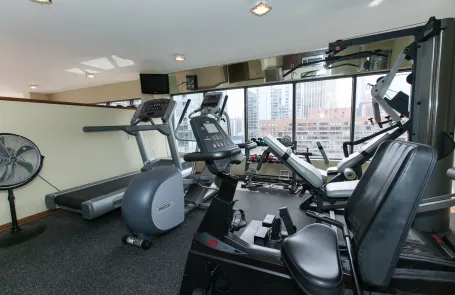 1 Bedroom Streeterville Apartment