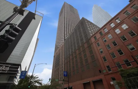 1 Bedroom Streeterville Apartment