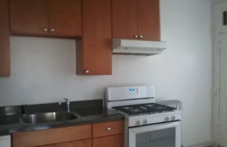 1 Bedroom Bronzeville Apartment