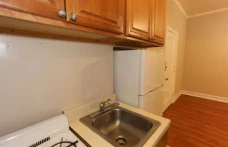 Studio Lakeview Apartment