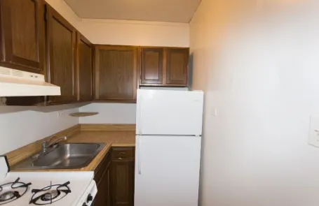 Studio Lakeview Apartment
