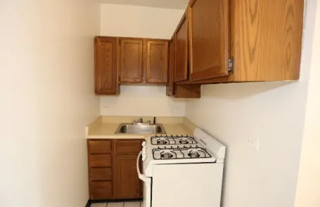 Studio Lakeview Apartment