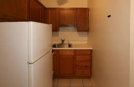 Studio Lakeview Apartment