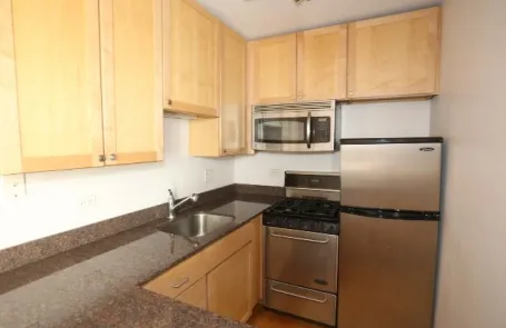 Studio Lincoln Park Apartment