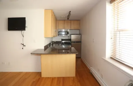 Studio Lincoln Park Apartment