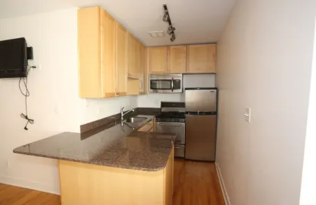 Studio Lincoln Park Apartment